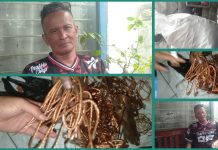 Mantan Wartawan Pikiran Rakyat Jadi “Tukang Rongsok Ajaib” Cicalengka, Omset Capai Ratusan Juta per Minggu