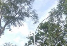 PJU di Kampung Kutes Desa Cibodas Tak Kunjung Hidup, Warga Minta Penanganan Dinas Perhubungan